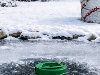 H�rd frost - f� 5 gode r�d her