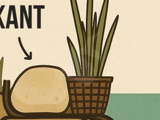 Sdan bygger du havedam - f vores 5 bedste tips