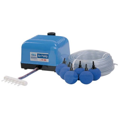 AquaForte luftpumpe st V-serie