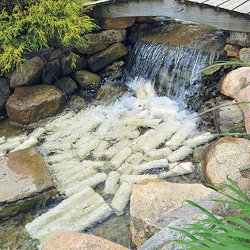 Bacteria Home Biomedier - 10kg