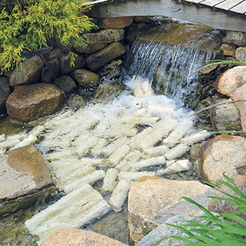 Bacteria Home Biomedier - 10kg