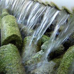 Bacteria Home Biomedier - 10kg