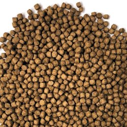 FD Food Build-Up Extra