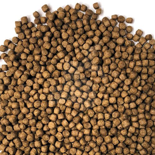 FD Food Build-Up Extra