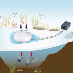 Ice Active Isfrihtte med luftpumpe