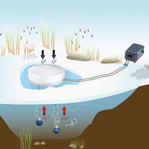 Ice Active Isfrihtte med luftpumpe