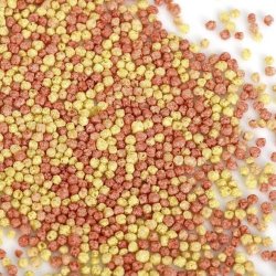 JBL ProPond Goldfish XS