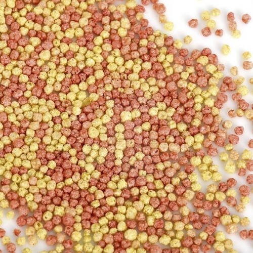 JBL ProPond Goldfish XS