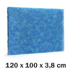 Japan mtte - Top Grade