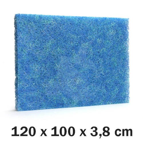 Japan mtte - Top Grade