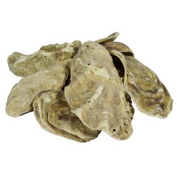 Japanske stersskaller