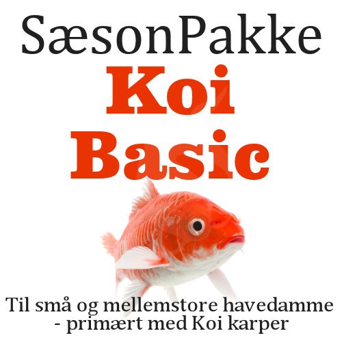 SsonPakke - Koi Basic