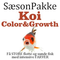 SsonPakke - Koi Color &amp; Growth