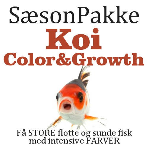 SæsonPakke - Koi Color &amp; Growth