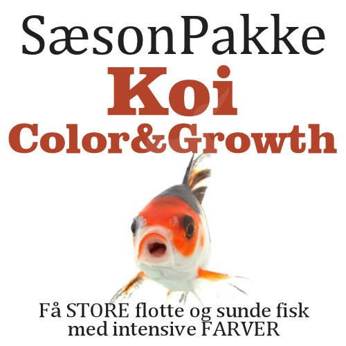 SsonPakke - Koi Color &amp; Growth