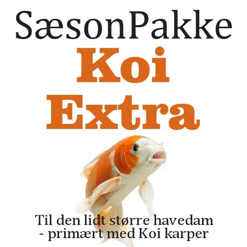 SsonPakke - Koi Extra