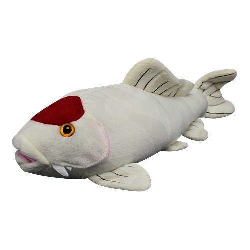 Koi bamse 35cm