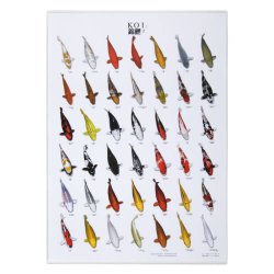 Koi Plakater