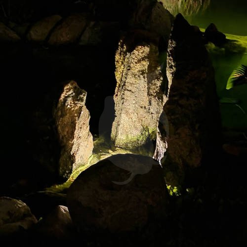 Pondteam Aqua Minilight LED 0,5W