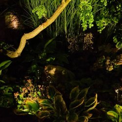 PondTeam LED Spot 1W