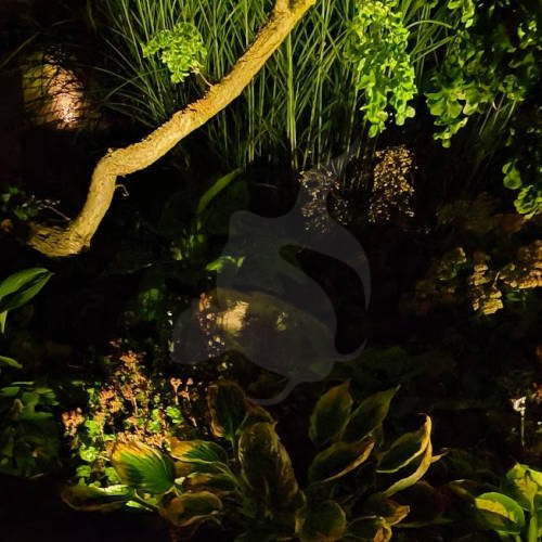 PondTeam LED Spot 1W