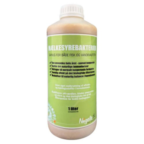 M�lkesyrebakterier
