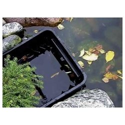 Oase Biosys Kasseskimmer