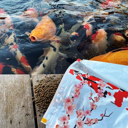 Oishii Color - 5kg