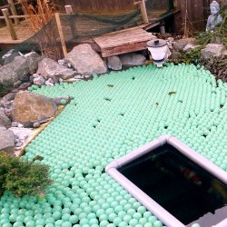 Pond Cover Balls  - 1000 stk/4 m