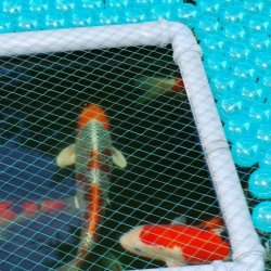 Pond Cover Balls  - 1000 stk/4 m