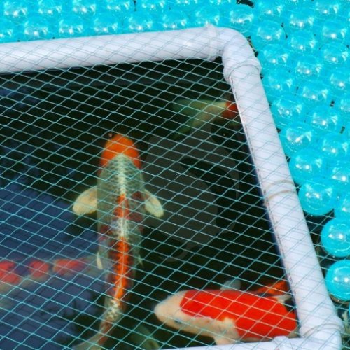 Pond Cover Balls  - 1000 stk/4 m