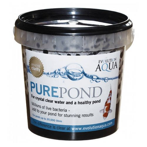 PURE Pond
