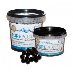 PURE Pond