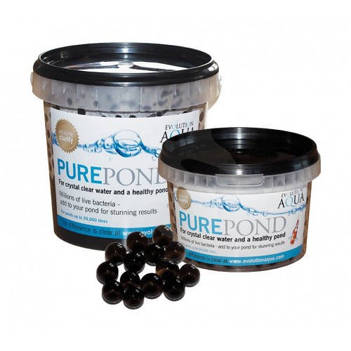 PURE Pond