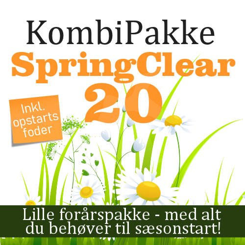 KombiPakke - SpringClear 20