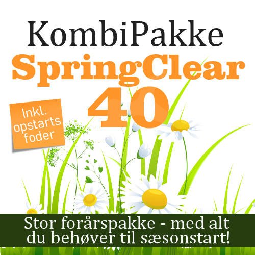 KombiPakke - SpringClear 40