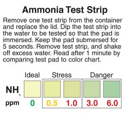 Test Strips Ammoniak