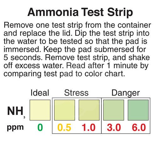 Test Strips Ammoniak