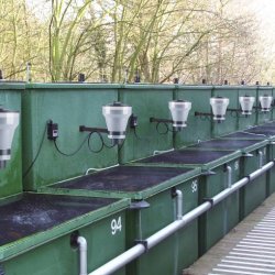 AquaForte Foderautomat (Xclear)