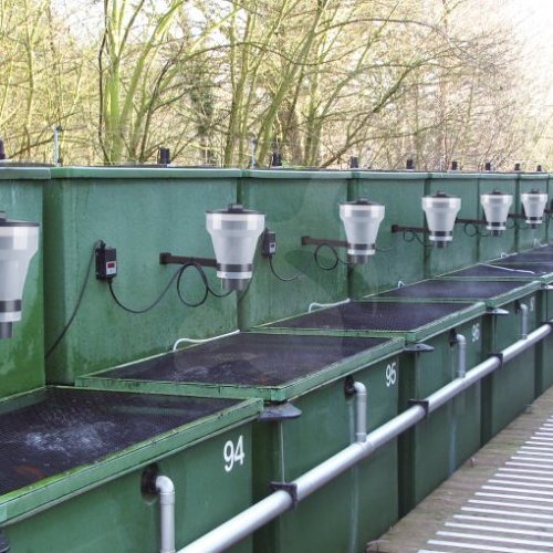 AquaForte Foderautomat (Xclear)