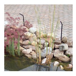 AquaForte Garden Defence