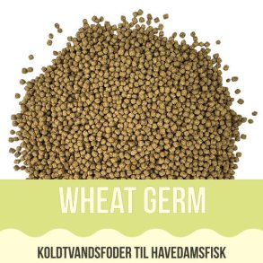 Yamakoshi Basic - Wheat Germ