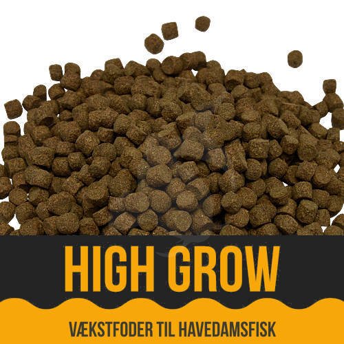 Economy High Grow