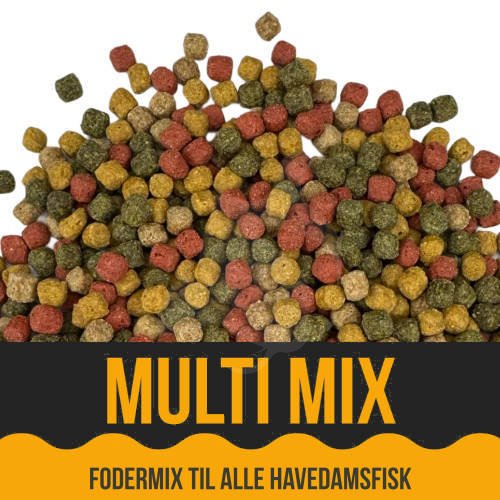 Economy Multi Mix