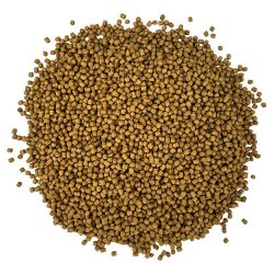 Yamakoshi Premium - Goldfish Color