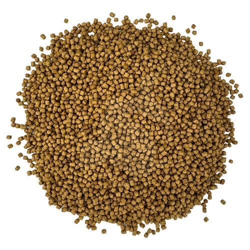 Yamakoshi Premium - Goldfish Color