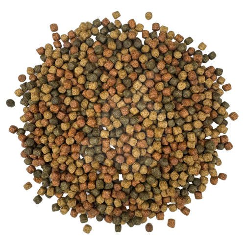 Yamakoshi Premium - Japan Mix