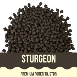 Yamakoshi Premium - Sturgeon