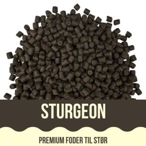 Yamakoshi Premium - Sturgeon