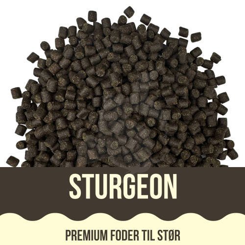 Yamakoshi Premium - Sturgeon